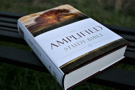 The Amplified Bible, Matthew chapter&nbsp;5